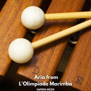 Mentre dormi amor, Aria from L'Olimpiade Marimba