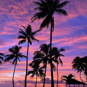 夏日晚风氛围曲