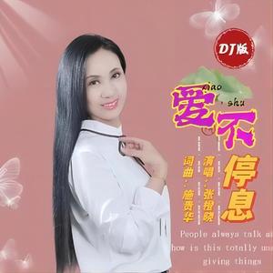 爱不停息 (DJ伴奏)
