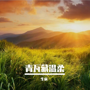 青瓦藏温柔
