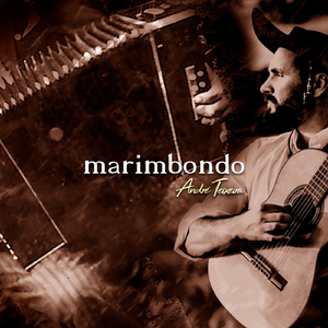 Marimbondo
