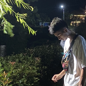 Nversesolo/防不过审核版