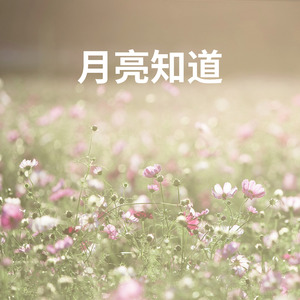 月亮知道