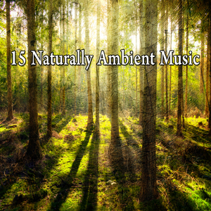 在大自然中散步