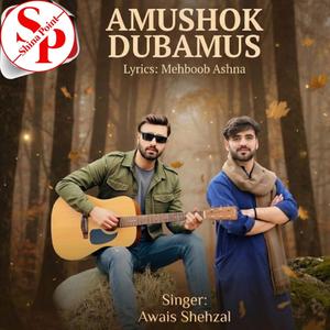 Amushok Dubam (feat. Awais Shehzal & Mehboob Ashna)