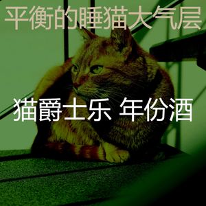温和睡猫梦想