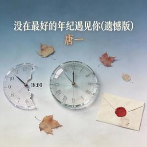 没在最好的年纪遇见你