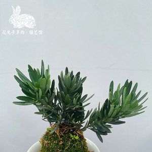 《比特芯片唤卡》045