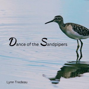 Dance of the Sandpipers