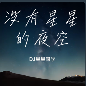 没有星星的夜空-DJ星星同学 伴奏