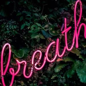 不谈恋爱（翻自苏白睡醒啦）