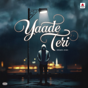 Yaade Teri