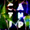 李泫憙 - Catnip