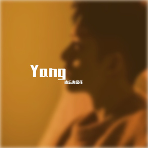 海棠花开的时候