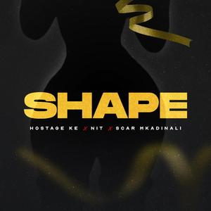 Shape (feat. N.I.T_KE & Scar Mkadinali)