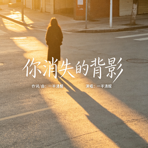 你消失的背影