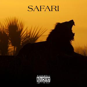 Safari
