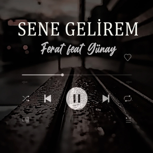 Sene Gelirem