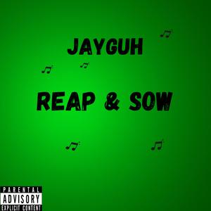 reap & sow