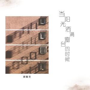 当阳光洒满窗台的时候