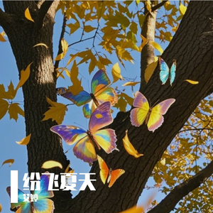 纷飞夏天
