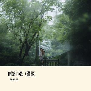 雨落心弦 (温柔)