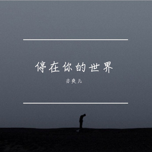 停在你的世界