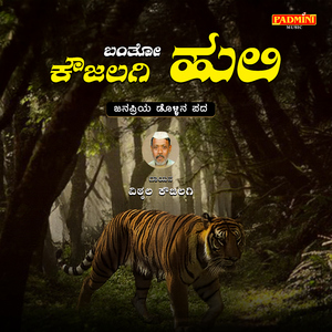 Banto Koujalagi Huli