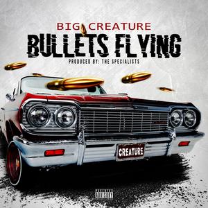 Bullets Flying