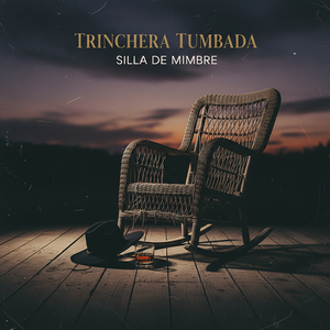Silla de Mimbre
