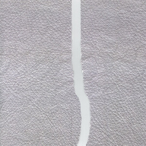 WALL (feat. Hys plasma)