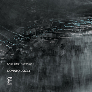 Hidden (Donato Dozzy Remix)