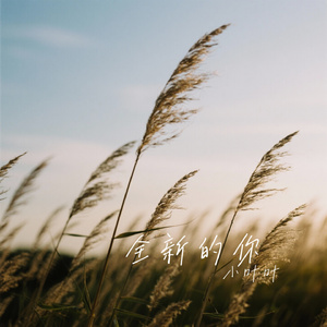 全新的你