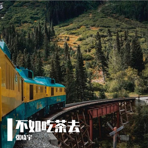 杨章隐-梦中的婚礼（吉他）（张晓宇 remix）