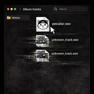 Peculiar (feat. VCO)