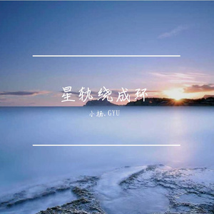 星驰云际