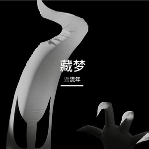 藏梦