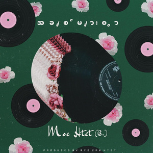 အချစ်များစွာ