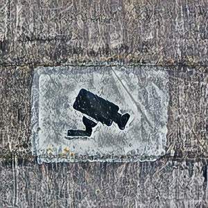 Investigator
