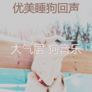 温和可爱的狗梦想