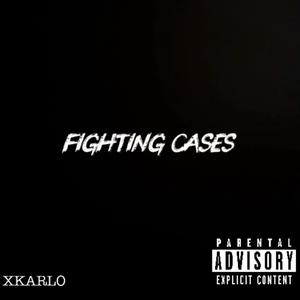 Fighting Cases
