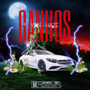 Ganhos