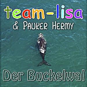 Der Buckelwal
