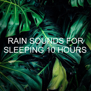Calm Rain Sounds
