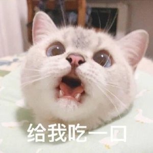 谁家//青涩正太小少年音