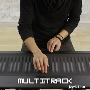 Multitrack