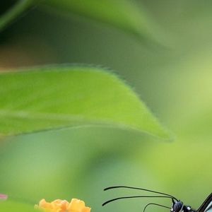 谁家小门前 伴奏