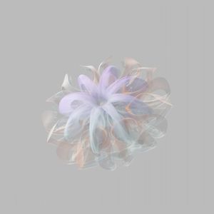 生命的意义从来不是顺从