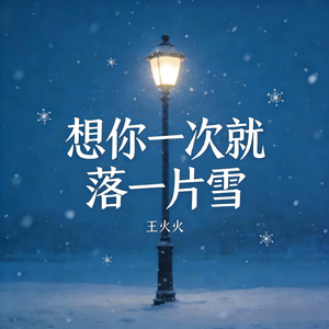 想你一次就落一片雪