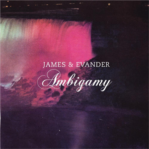 Ambigamy (Radio Edit)